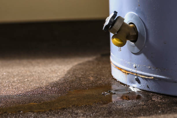 Best Water damage restoration services  in Ionia, MI