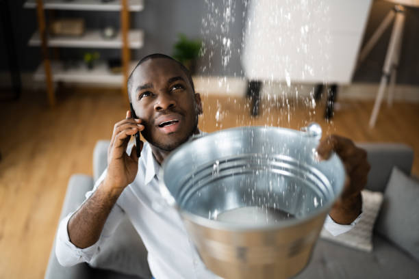 Best Basement water damage restoration  in Ionia, MI