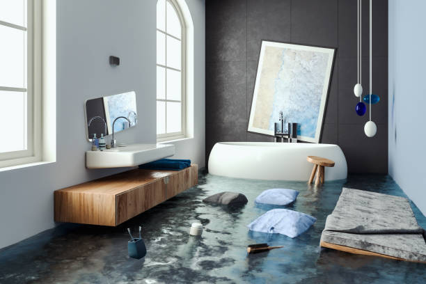 Best Flood damage cleanup  in Ionia, MI