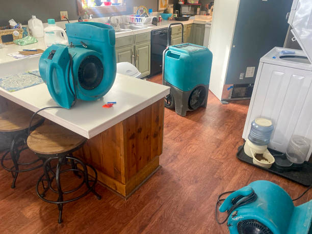 Best 24/7 water damage repair  in Ionia, MI