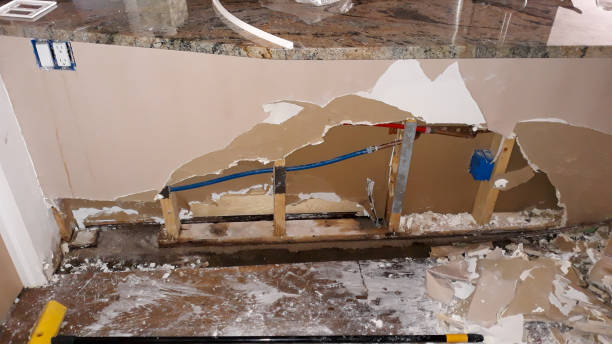 Best Water damage restoration near me  in Ionia, MI
