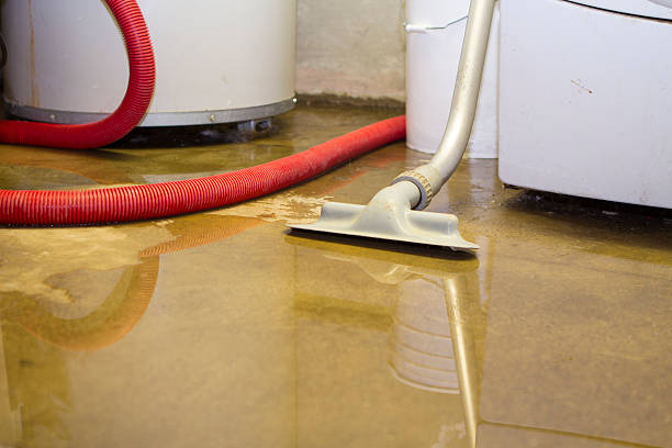 Best Flooded house restoration  in Ionia, MI