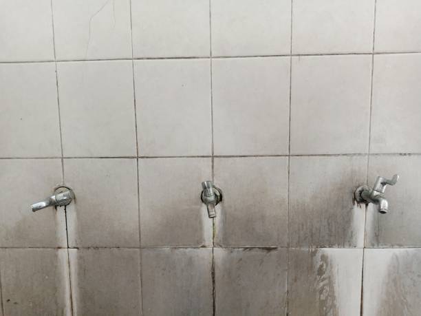 Best Basement water damage restoration  in Ionia, MI