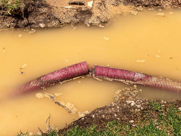 Best Flood restoration services  in Ionia, MI